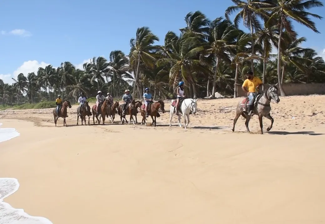 caballos