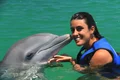 Delfines